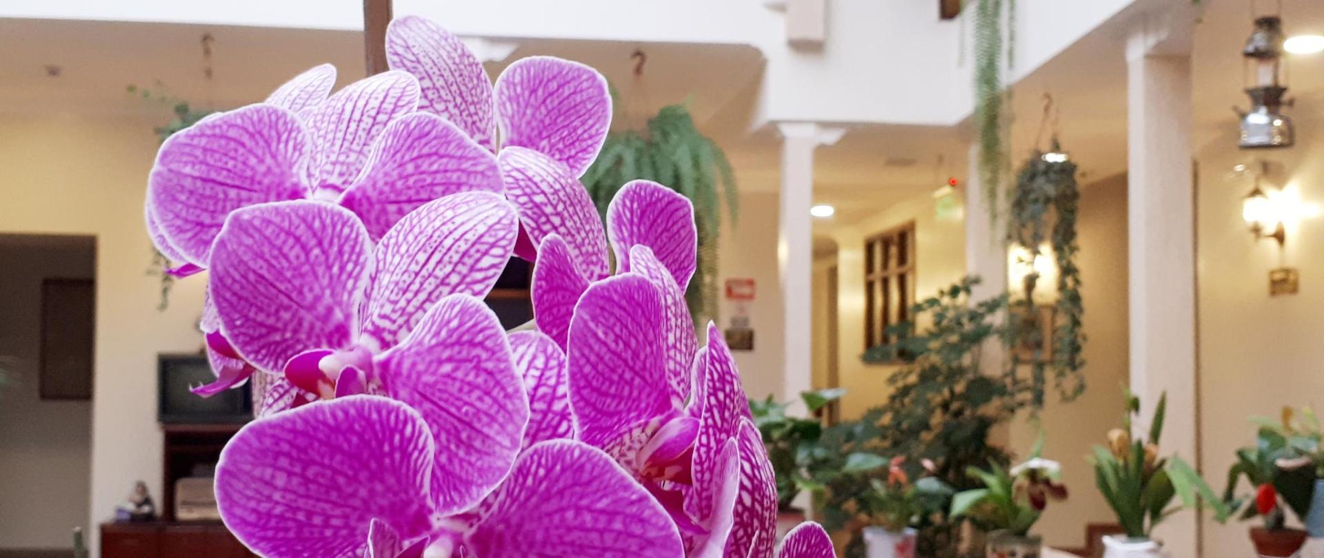 20191209_175841.jpg